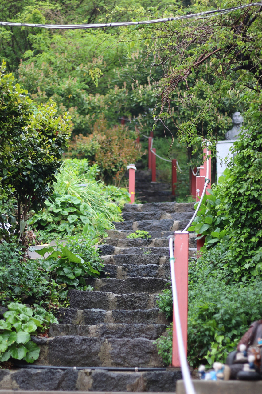 #奔赴春天的旅行# 当春天的脚步悄然而至,万物复苏的季节里,青岛的浮