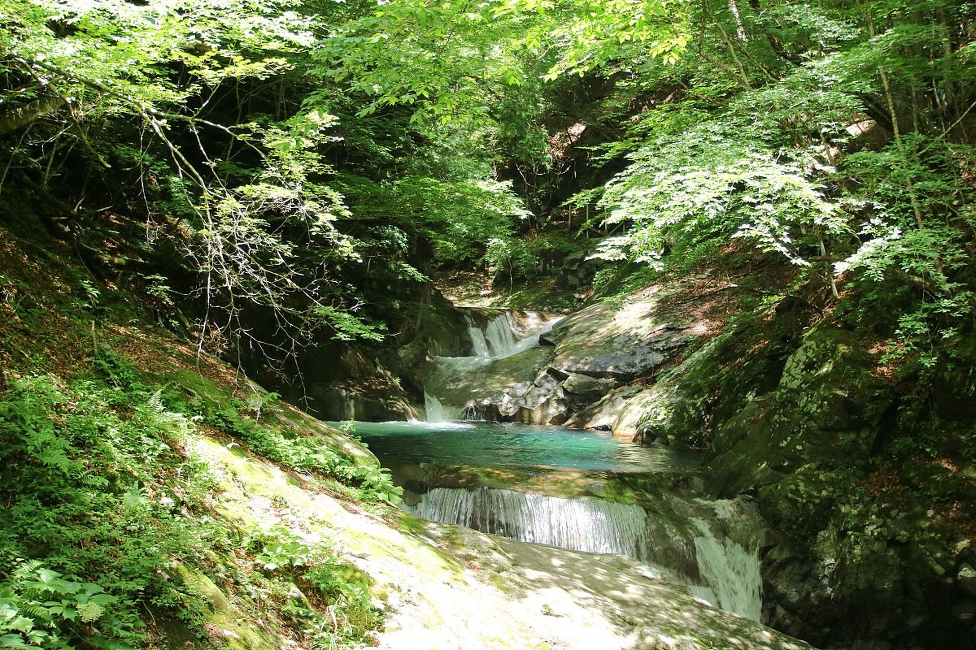 黄龙山原始森林景区.这个景区位于延安市区北部,是一个充满神秘色彩的