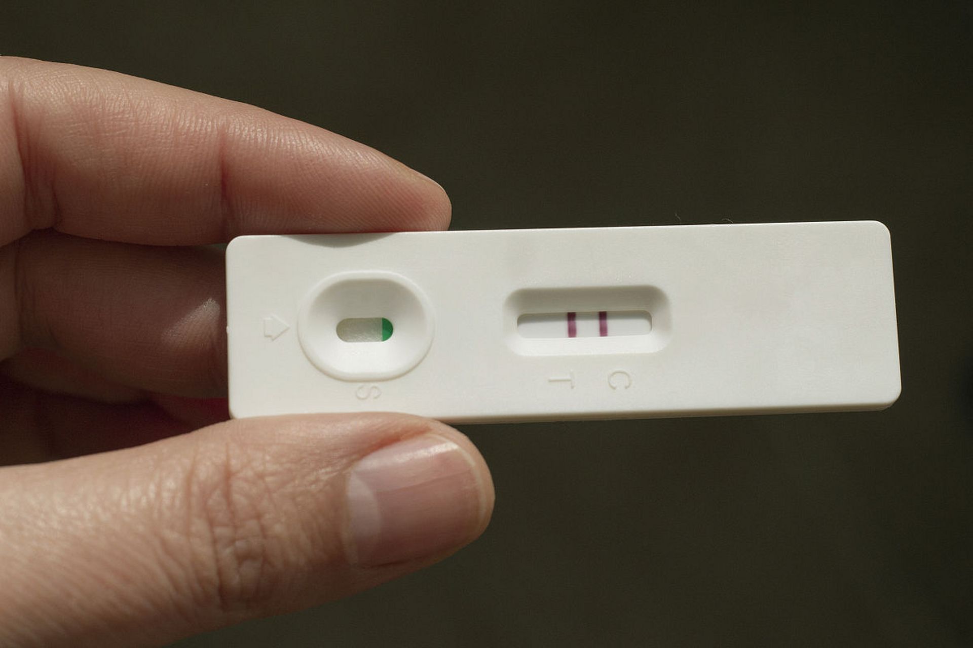 测出怀孕的厕纸图片图片