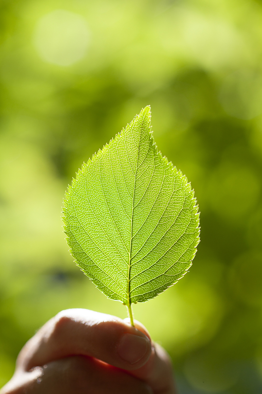 如何做好网站搜索引擎优化_网站建设之搜索功能强化升级标准_网站如何优化搜索引擎