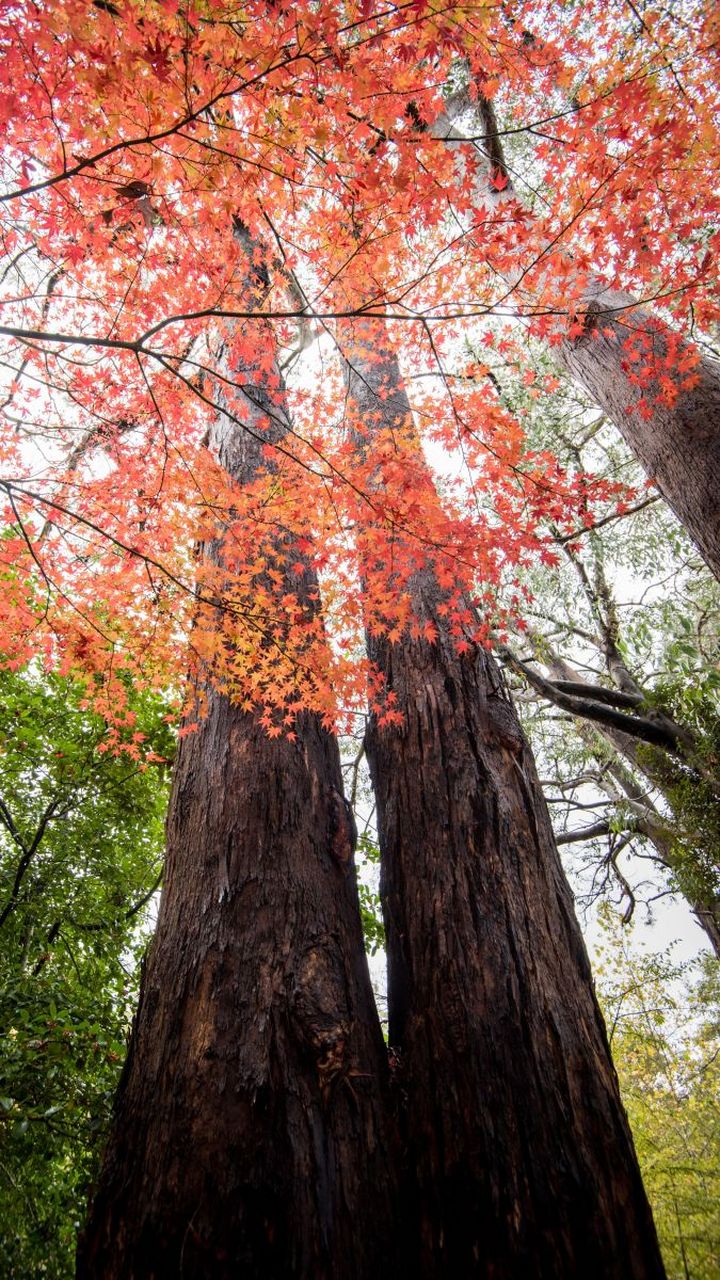 判断一个男人爱女人有多深,就看深爱他的女人,在有效的主动断联后,他