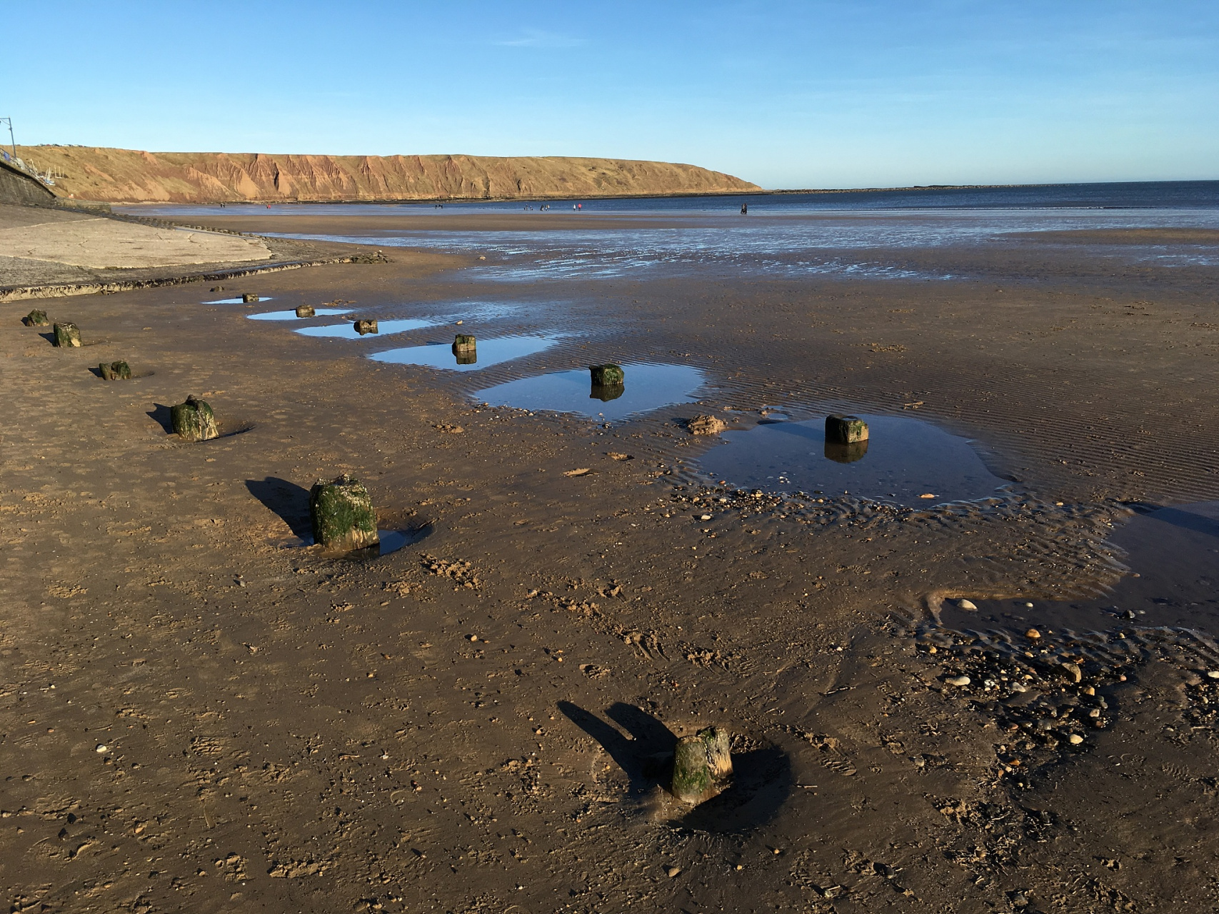优质短图文计划# #巴西出现赤潮现象使240人中毒#  巴西东北部阿拉戈