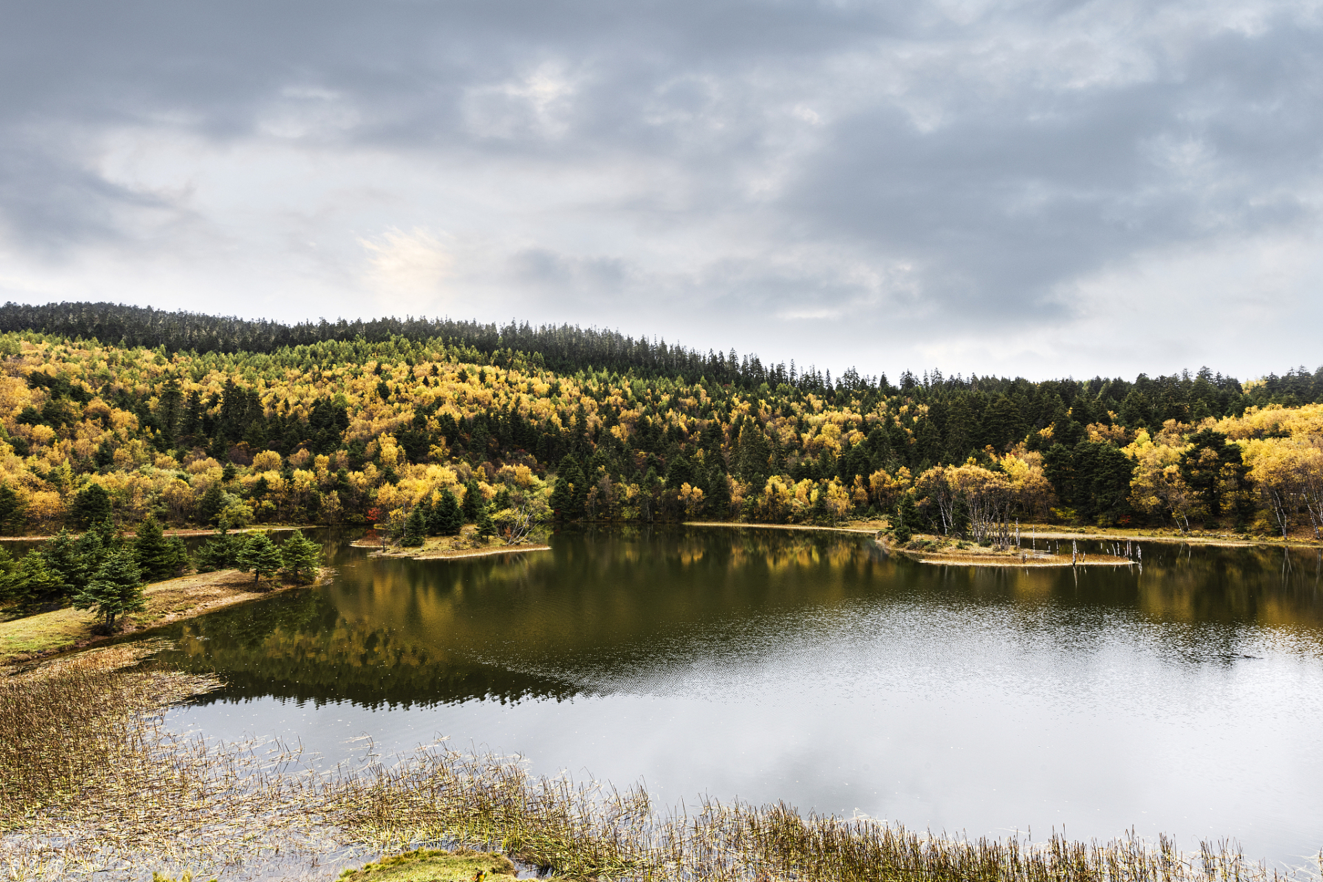 大亮子河国家森林公园,隐藏在黑龙江省的佳木斯市,拥有神奇的原始红松