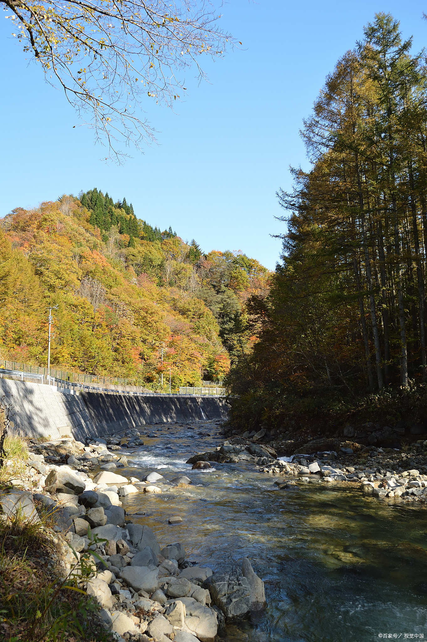 山沟风景图片抚顺筐子沟森林水流氧吧头像清原筐子沟旅游景点图片原始