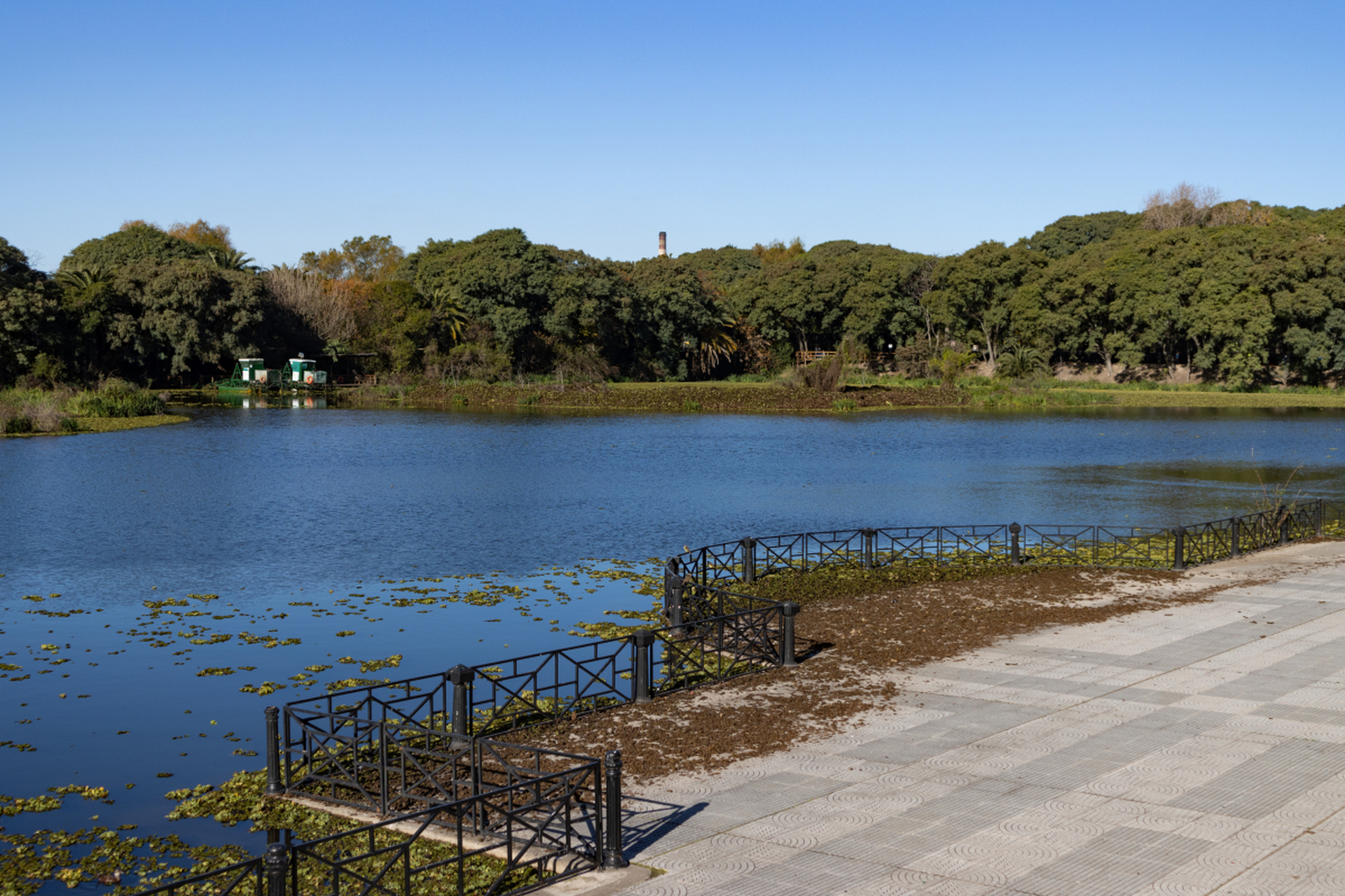 深圳东湖公园!占地60万方,免费开放且风景如画.