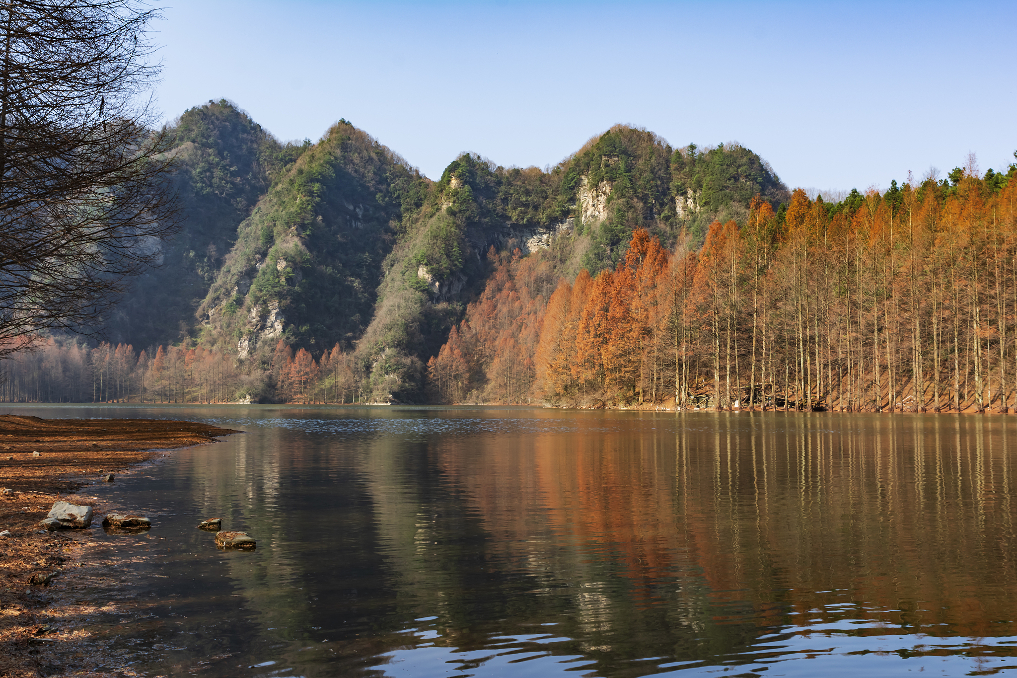 神农架大九湖的自然美景有多迷人,如何尽享草原湿地风光?