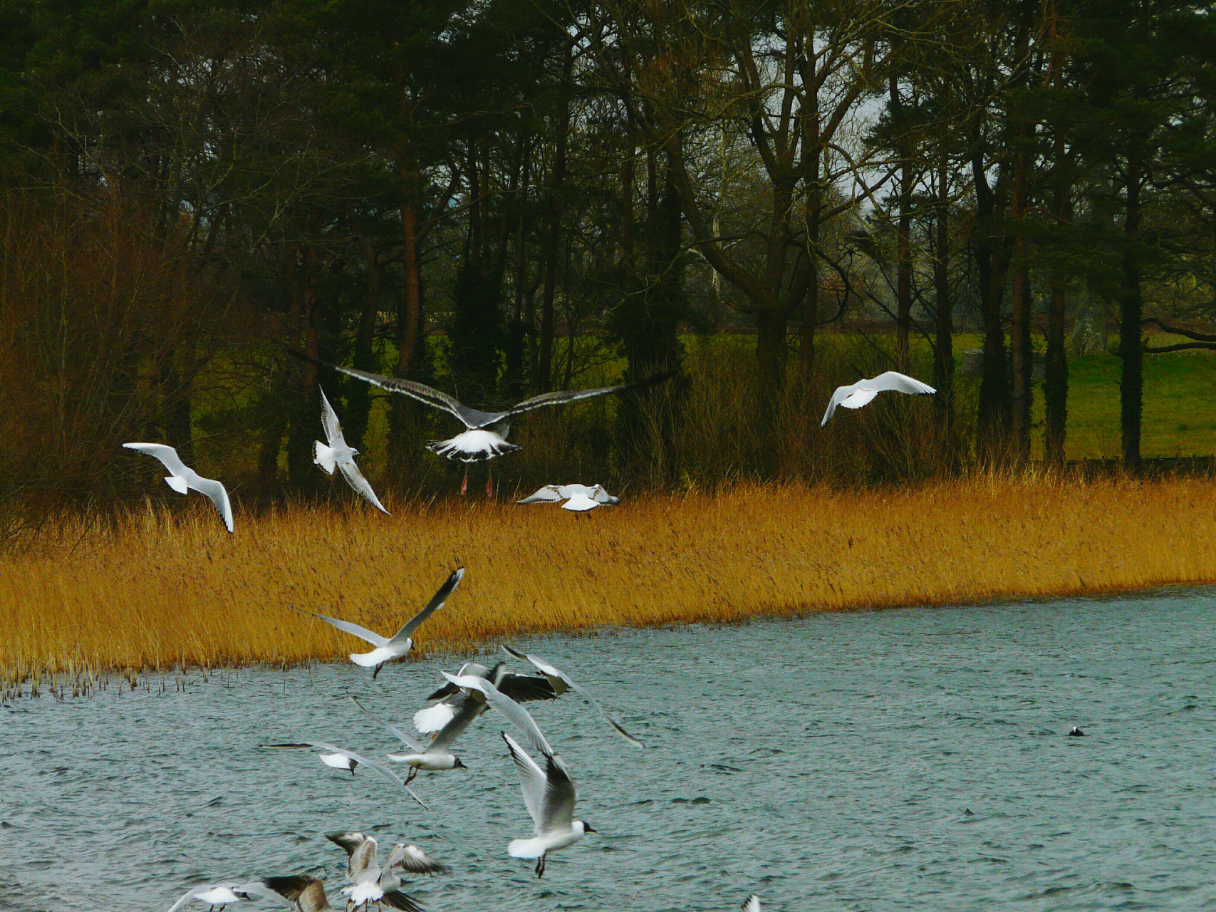 如果,人人都想避风,港湾匮乏的关系,就一定会变质,破裂,相互仇视.