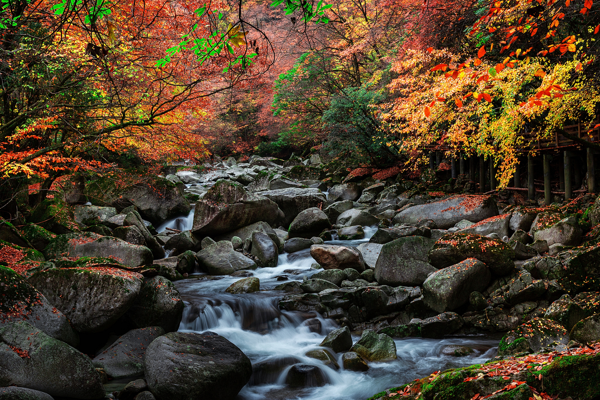 【关门山生态大峡谷景区】#网红打卡地辽宁杠杠滴# 关门山生态大峡谷
