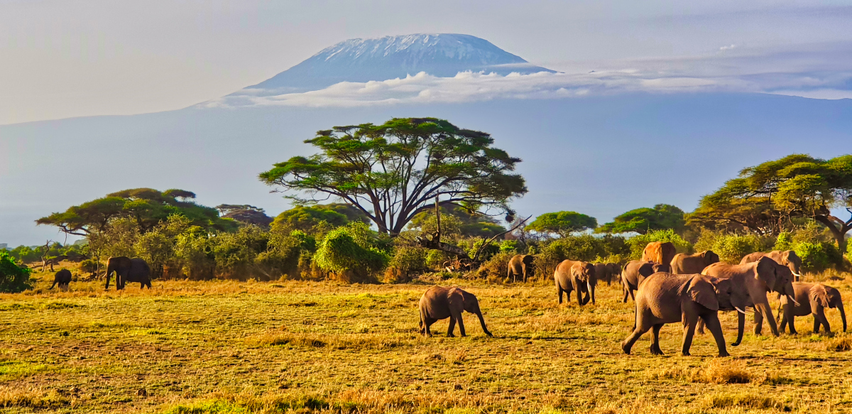 肯尼亚旅游(探索非洲奇妙之旅——肯尼亚的自然风光和野生动物园)