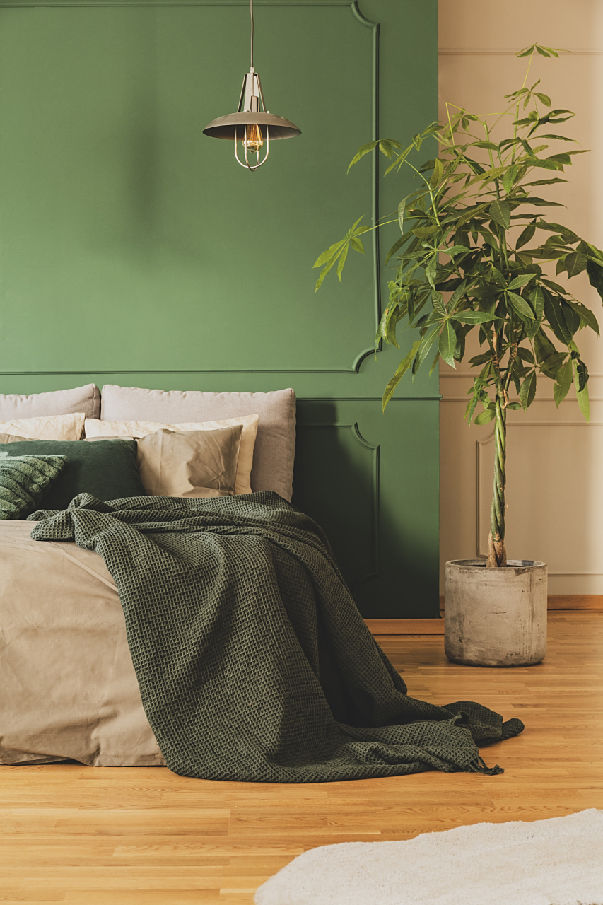 绿色系软装可以选择以下几种搭配方式:  草木绿:在绿色调上加入些许