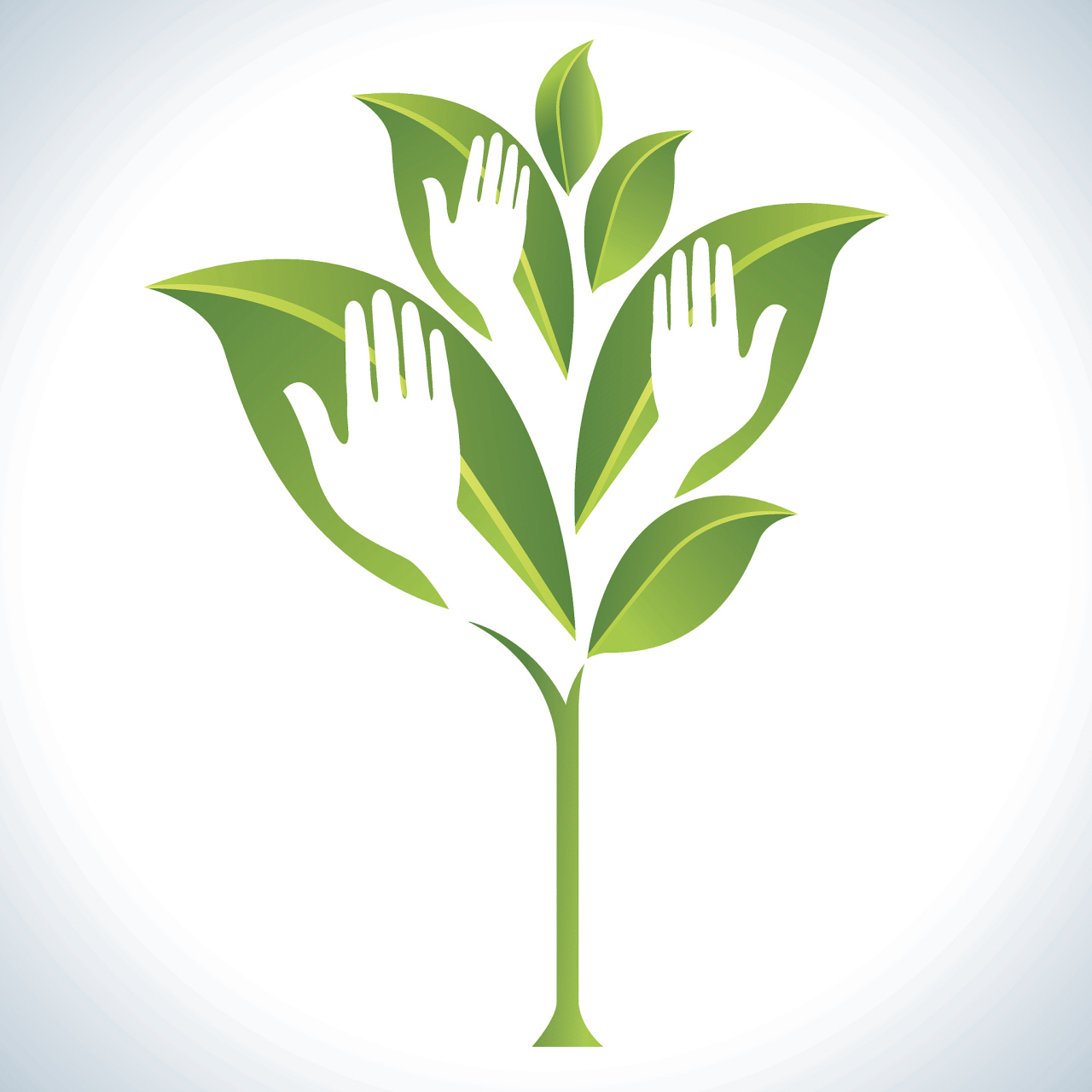 植物保护专业是一个综合性很强的学科,它以植物学