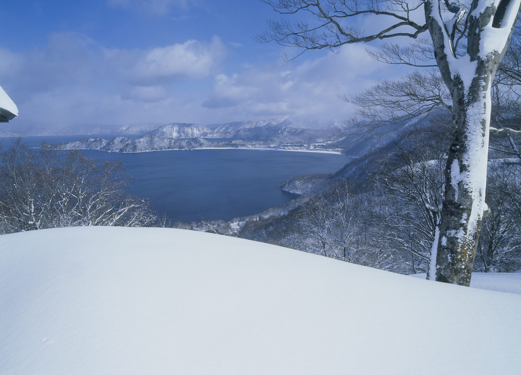 北海道雪景 唯美图片