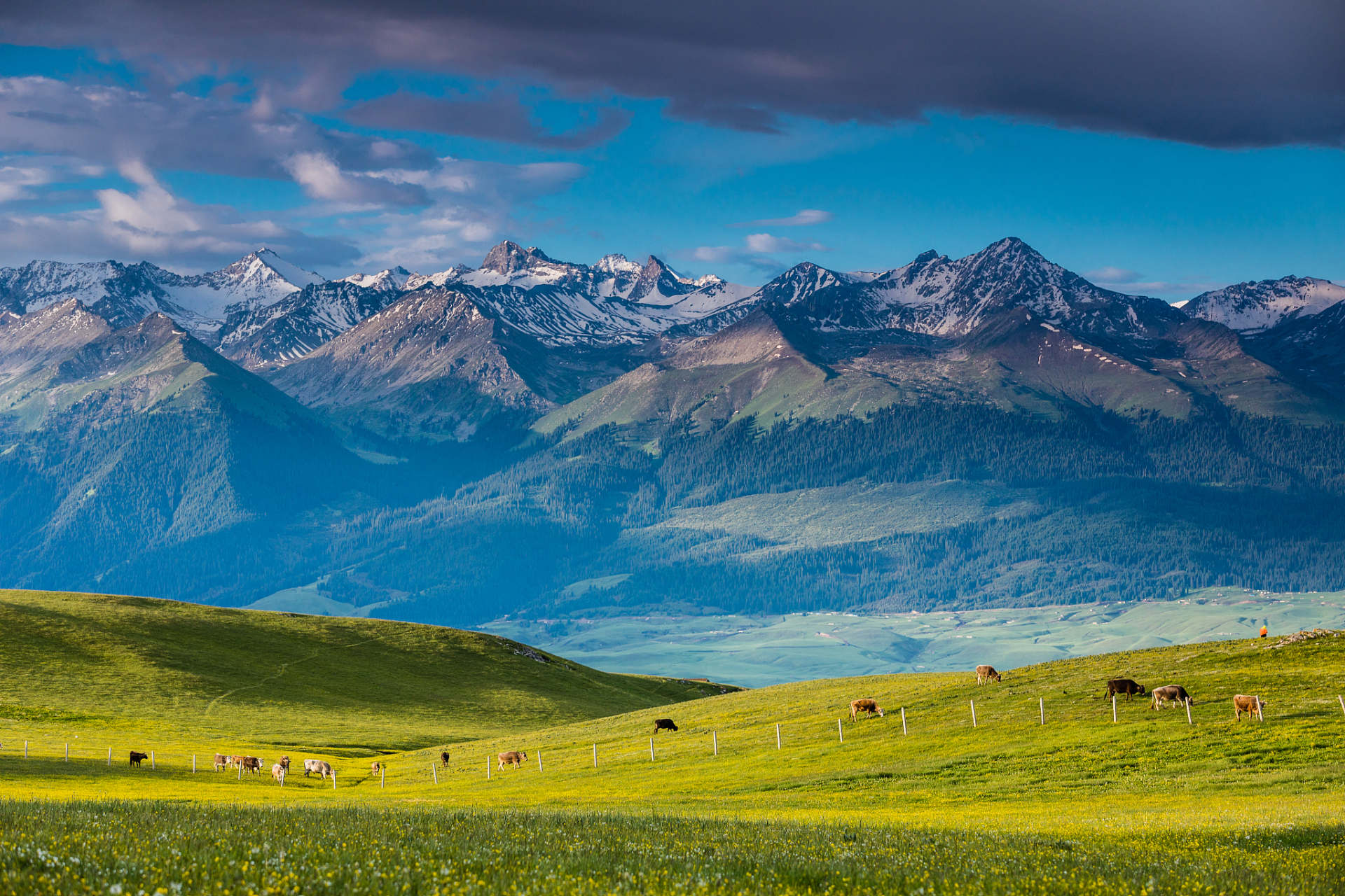 新疆喀拉峻,一个绝美的高原草原,是探险,摄影和旅行的理想之地.