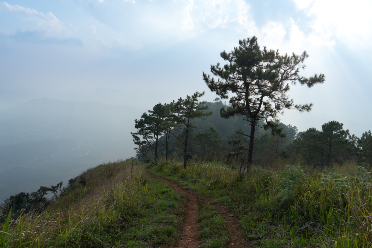 广东茂名:浮山岭——大自然与历.@三农致富人的动态