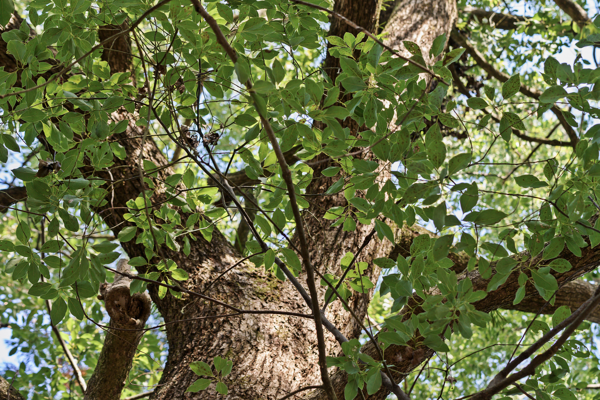 信息差交换小铺