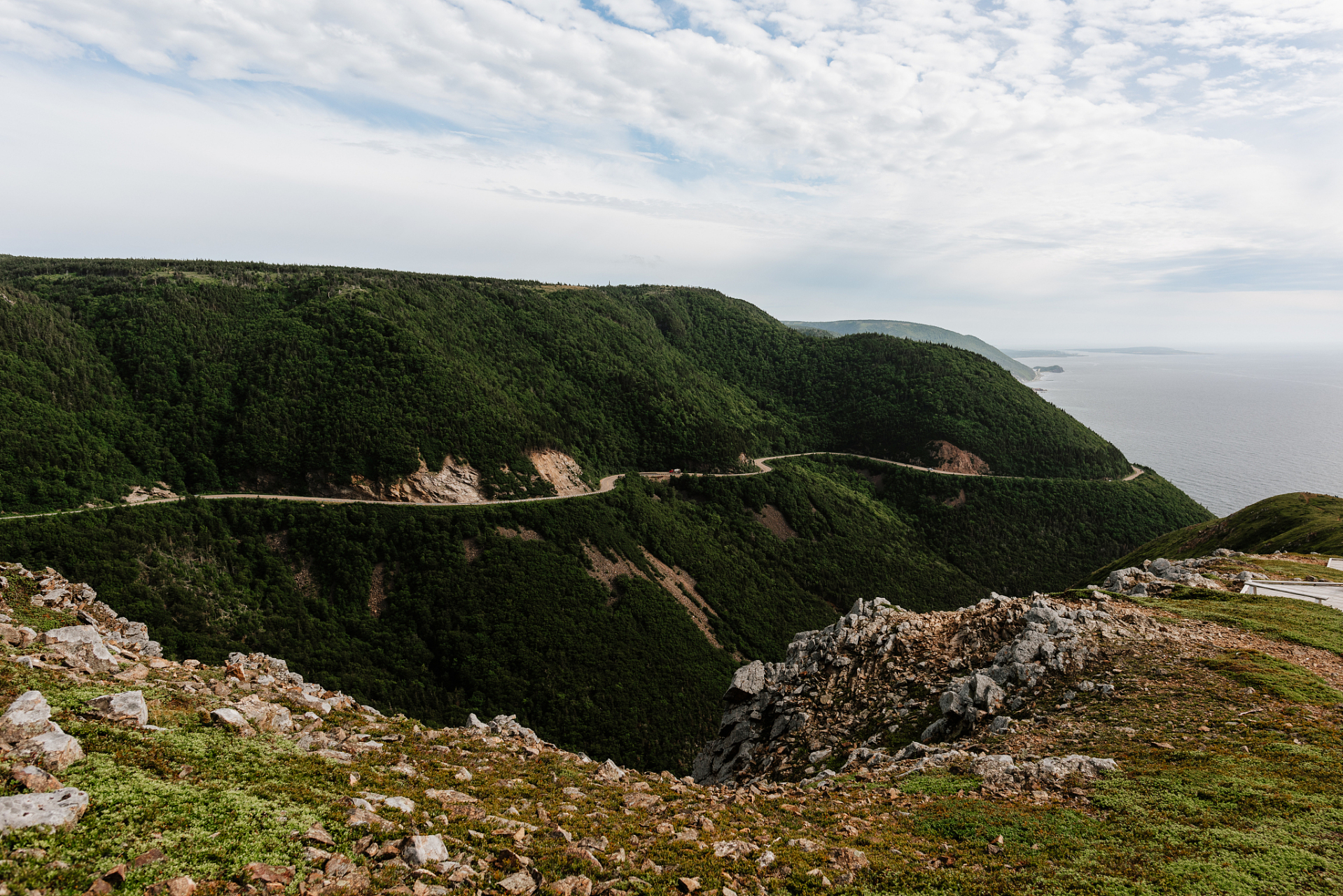 摩天岭:摩天岭是唐家河自然保护区内的一座山峰,海拔约3000米.