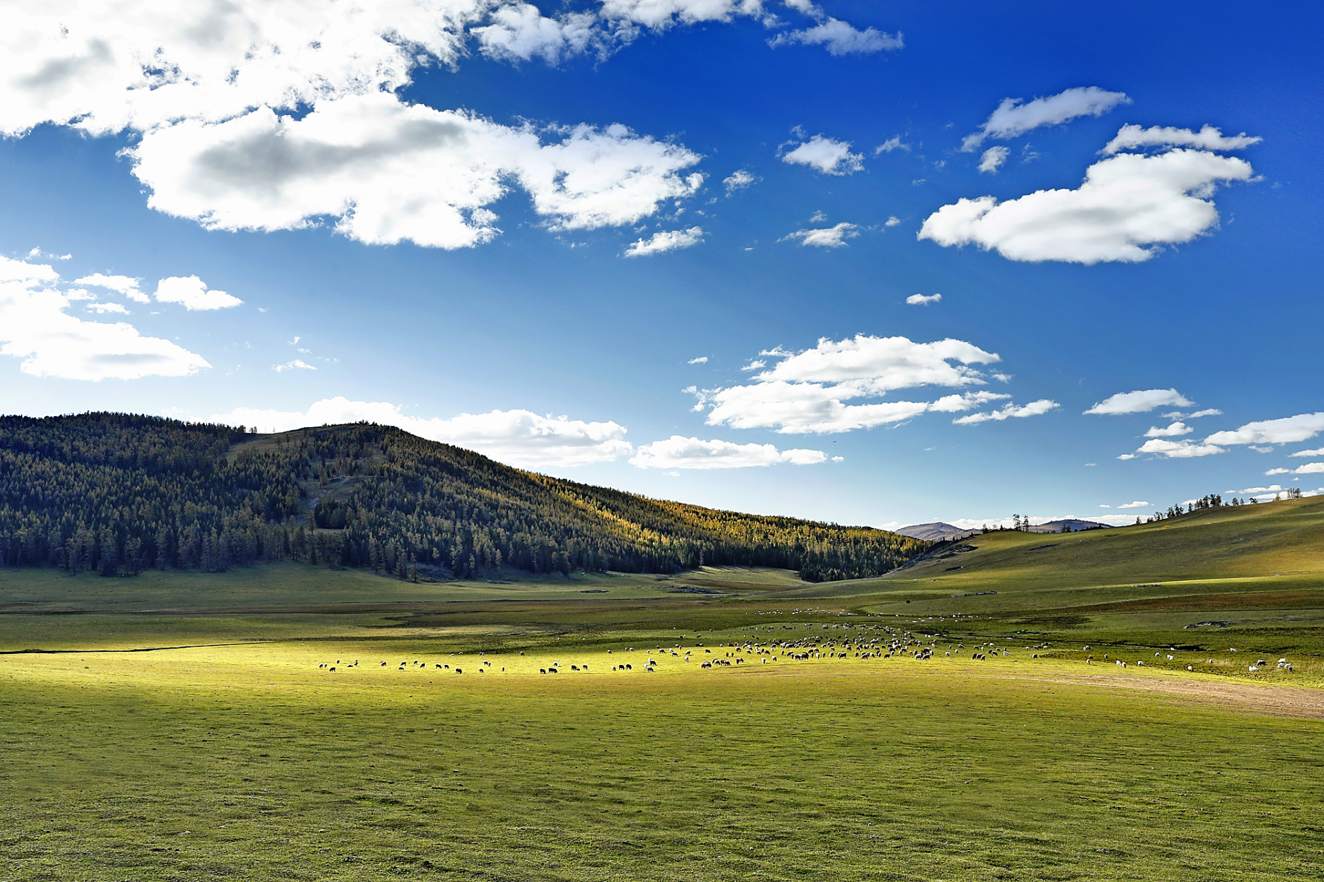 是大自然的艺术品,有着丰富的生态系统和壮丽的自然景观