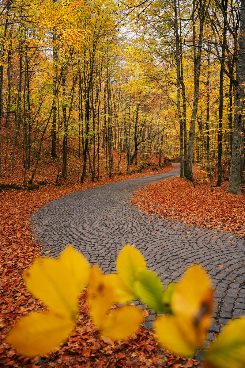 有生之年,欣喜相逢