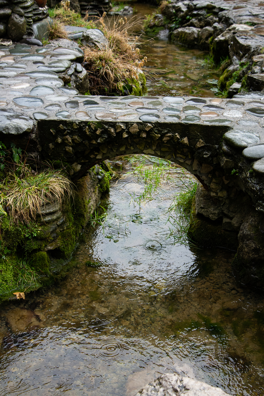 夏日闪光旅行家# 宁德市周宁县的鲤鱼溪,是一条充满神奇色彩的溪流.