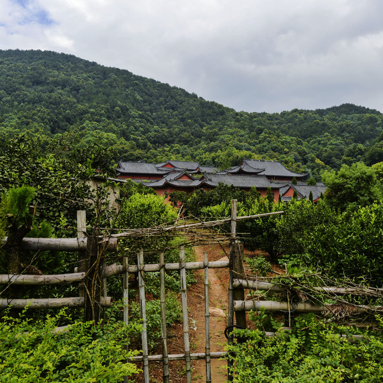 五一黄金周旅游点攻略之《禅系》 天下祖庭,黄梅五祖寺;相关毗邻四祖