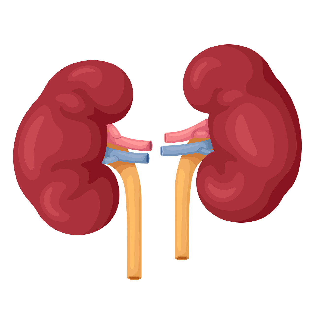 高血压肾病:中医治疗的神奇效果 98中医治疗高血压