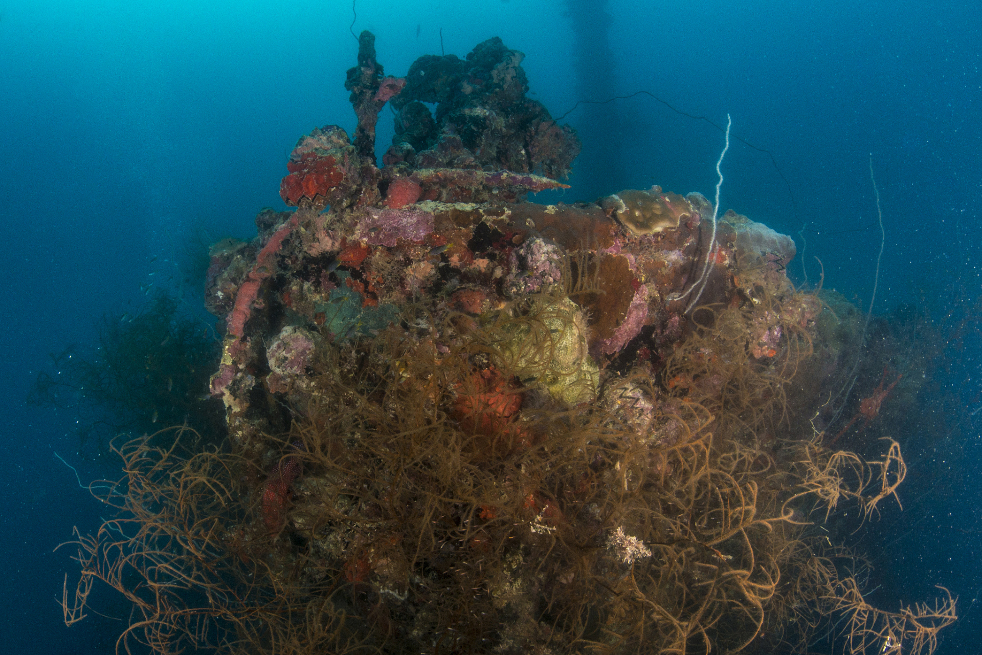 深海矿产资源是深海科学研究和利用的另一个重要领域,主要包括铜,锌