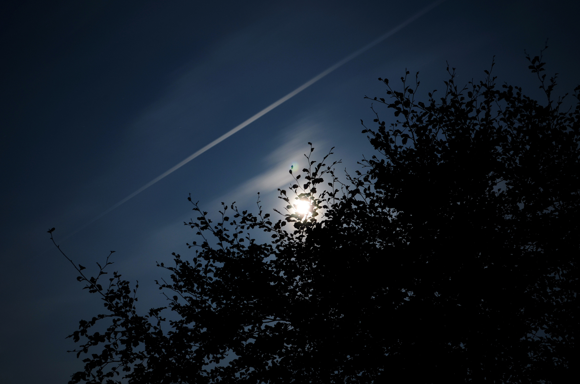 寂静的夜晚,我与儿子共同坐在窗前,凝望着黑暗中闪烁的星光.