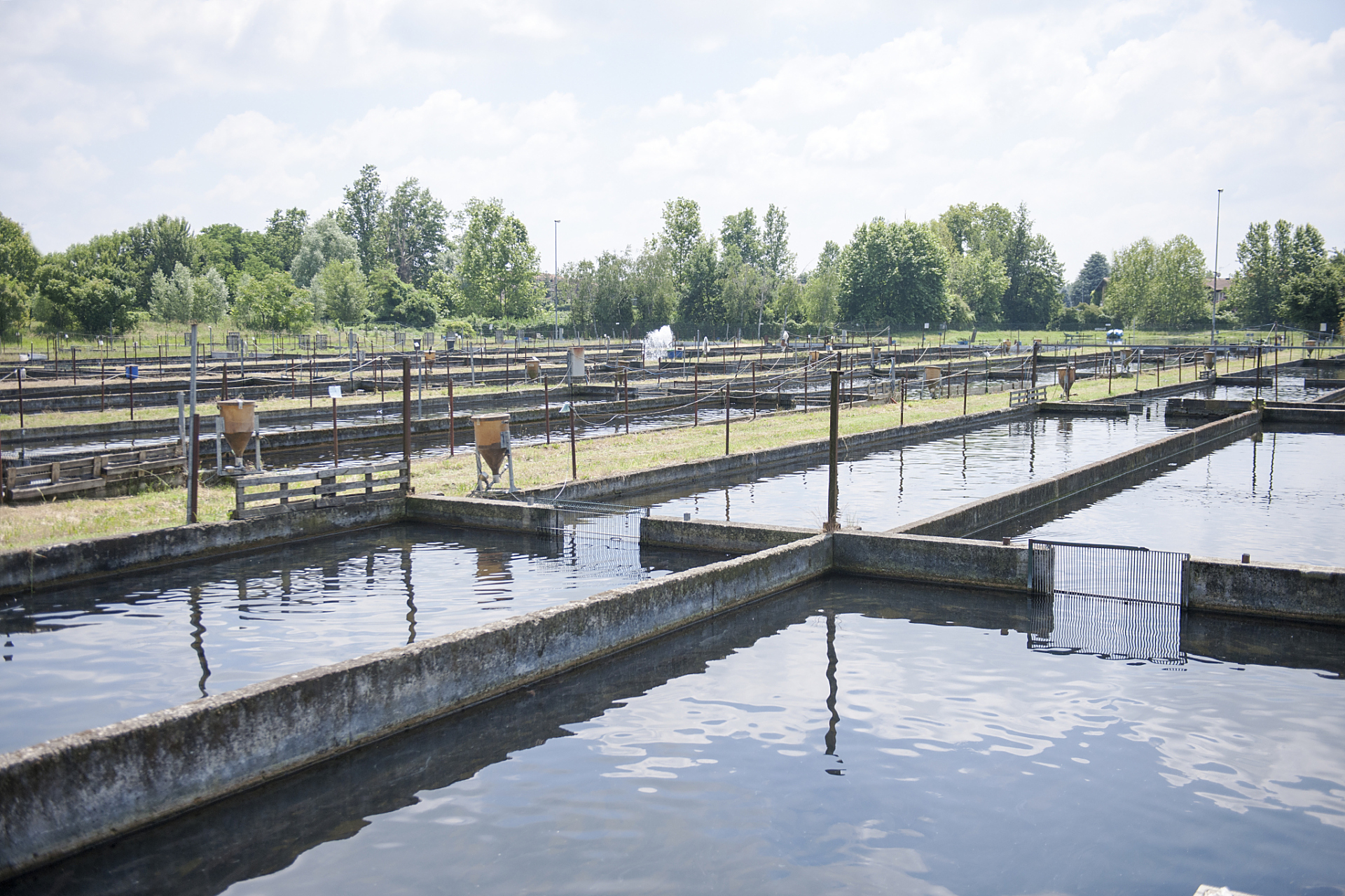 水产养殖类专业的学生可以在水产养殖企业,水产科研机构,水产饲料企业