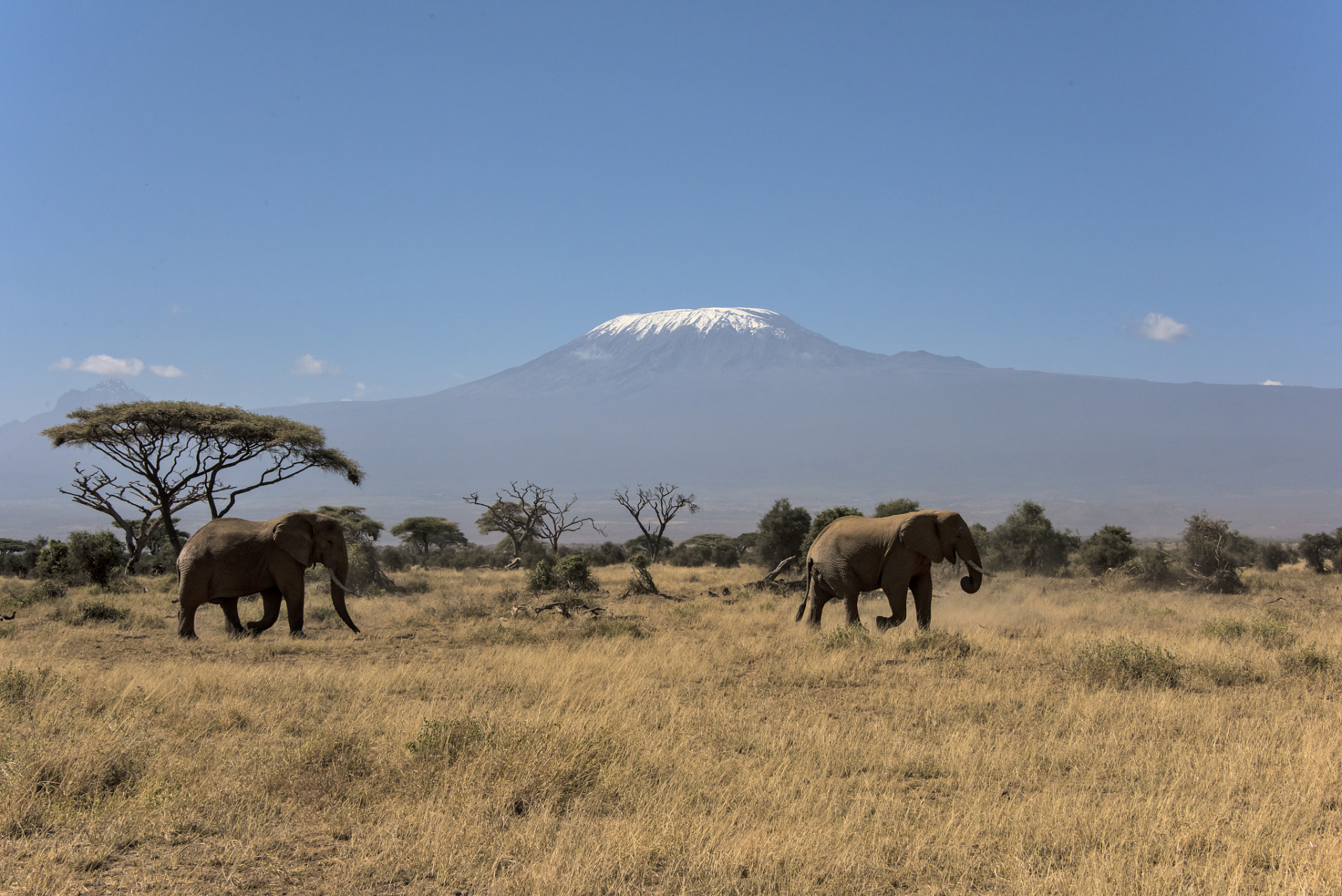 乞力马扎罗山(kilimanjaro)位于坦桑尼亚东北部及东非大裂谷以南约160