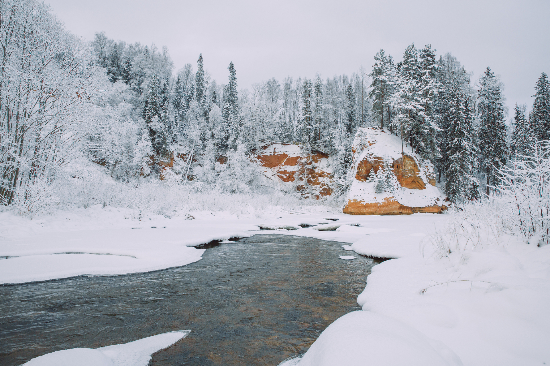 用一张图形容冬季# 冰雪覆盖的树林中,阳光透过树梢洒在雪地上,照耀