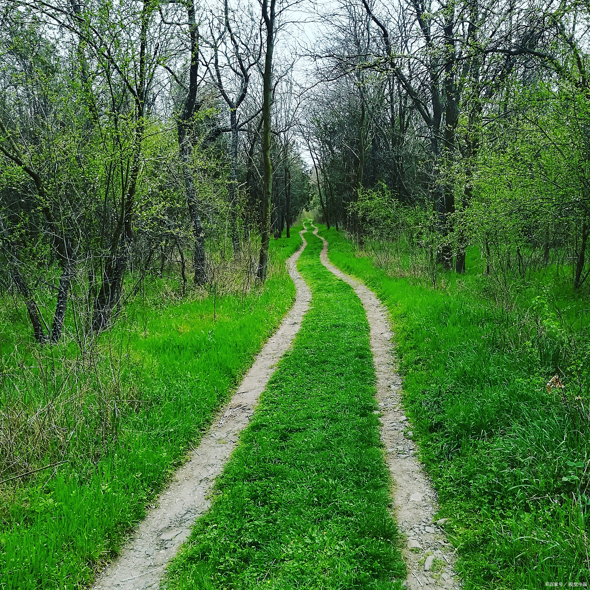 在我做咨询师多年的时间里,我发现大部分选择和背叛