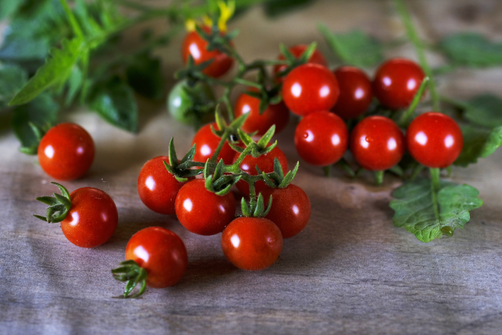 健胃消食,养颜美容,辅助减肥 千禧果是近年来从圣女果品种中,优选培育