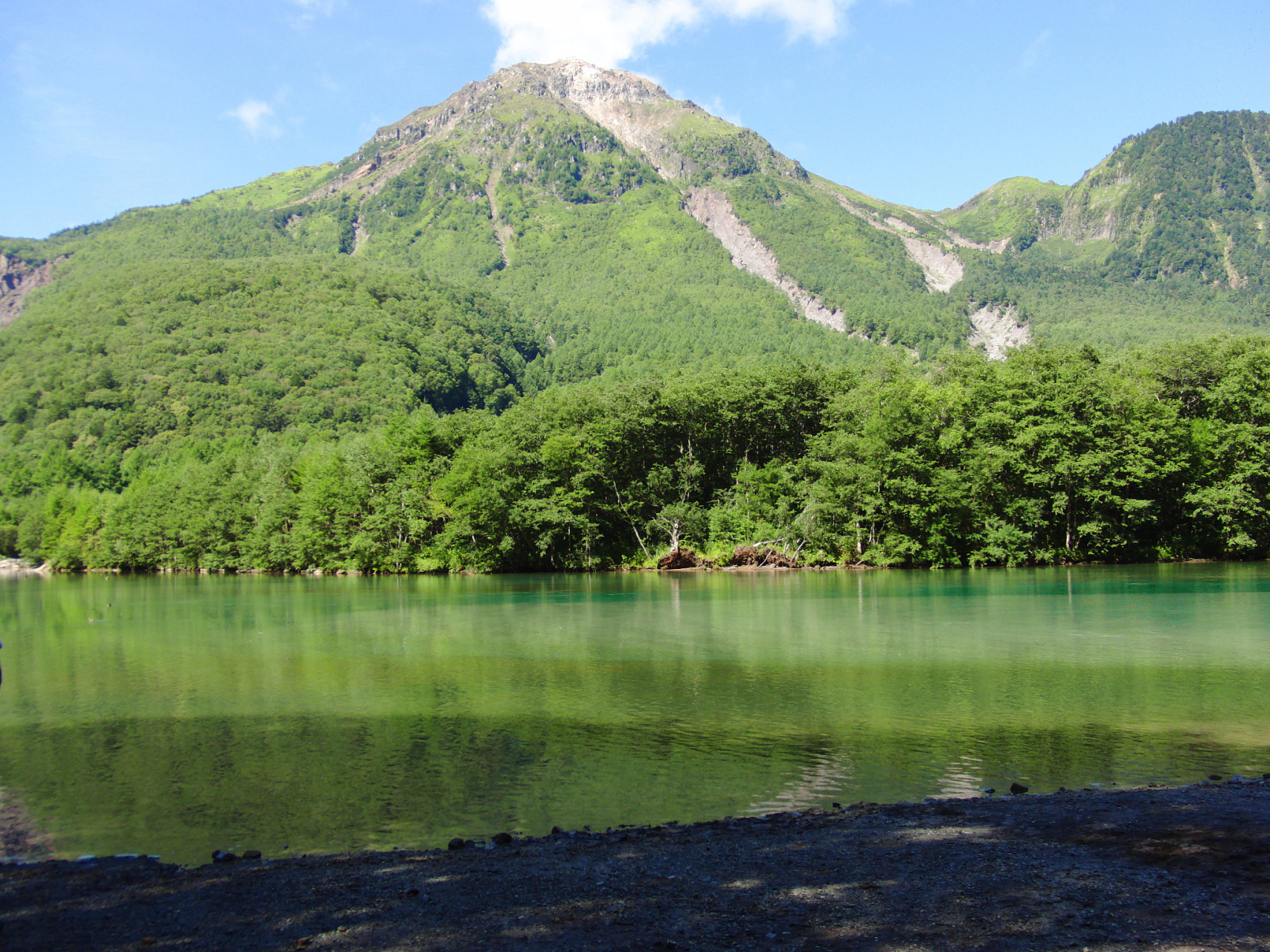 浙江平顶山森林公园图片