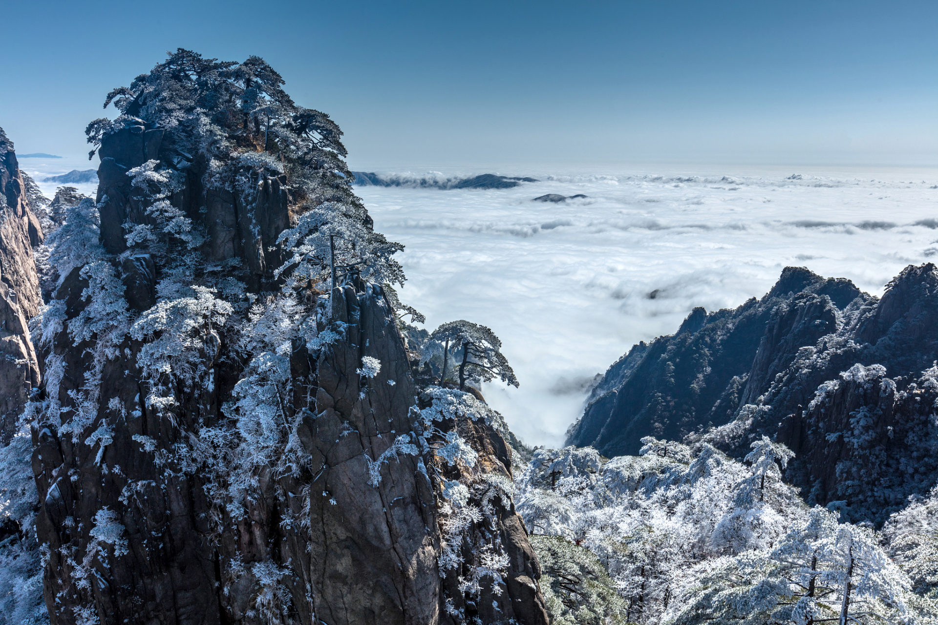 9015 银装素裹的黄山:黄山以奇松,怪石,云海,温泉,冬雪"五绝"著称