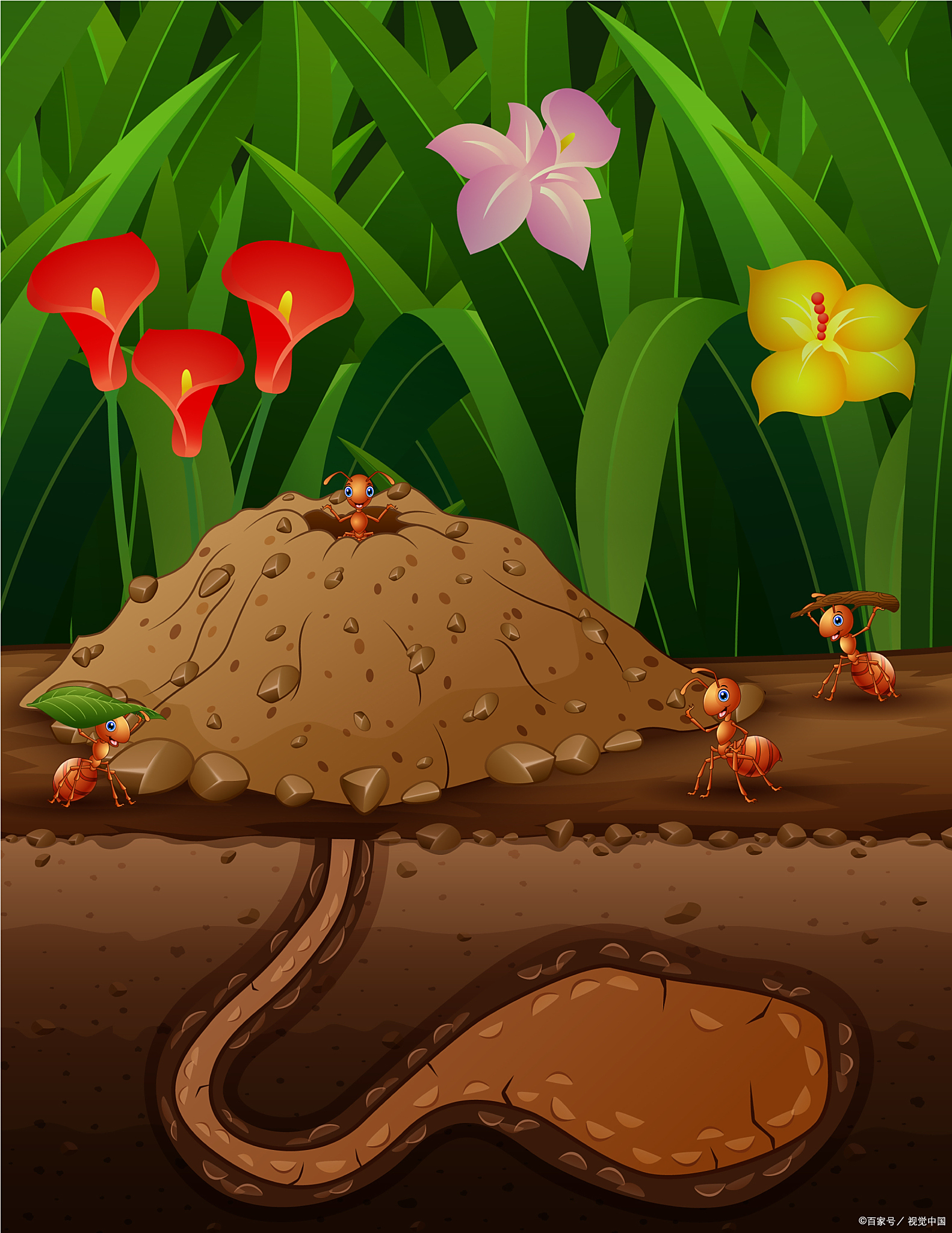 露天的阳台微风习习,朝阳只在远远的东方放射出光芒