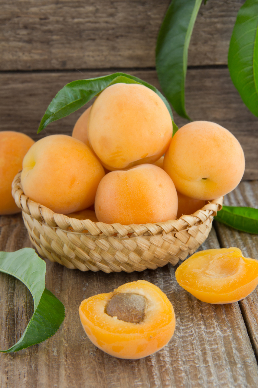 陕西大黄杏# ,又称"中华第一杏",是中国四大名杏之一.