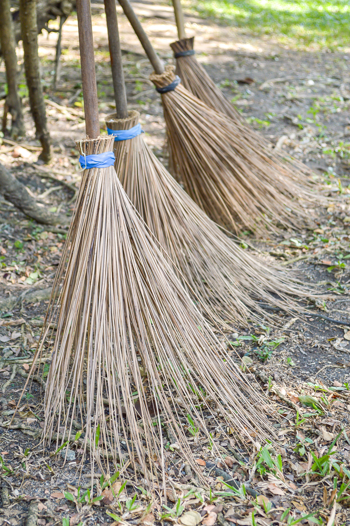 今末阿拉来讲讲宁波的扫帚