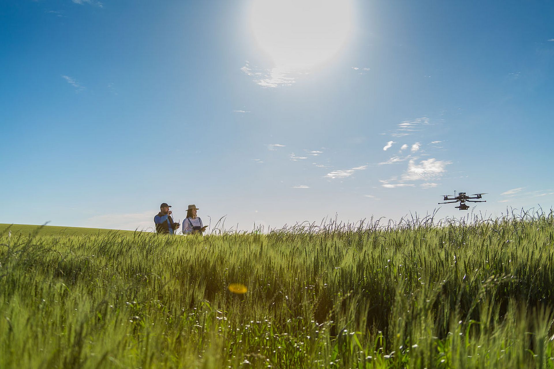 个我私藏的高清无版权免费图片网站,再也不用到处找素材了】 pixabay