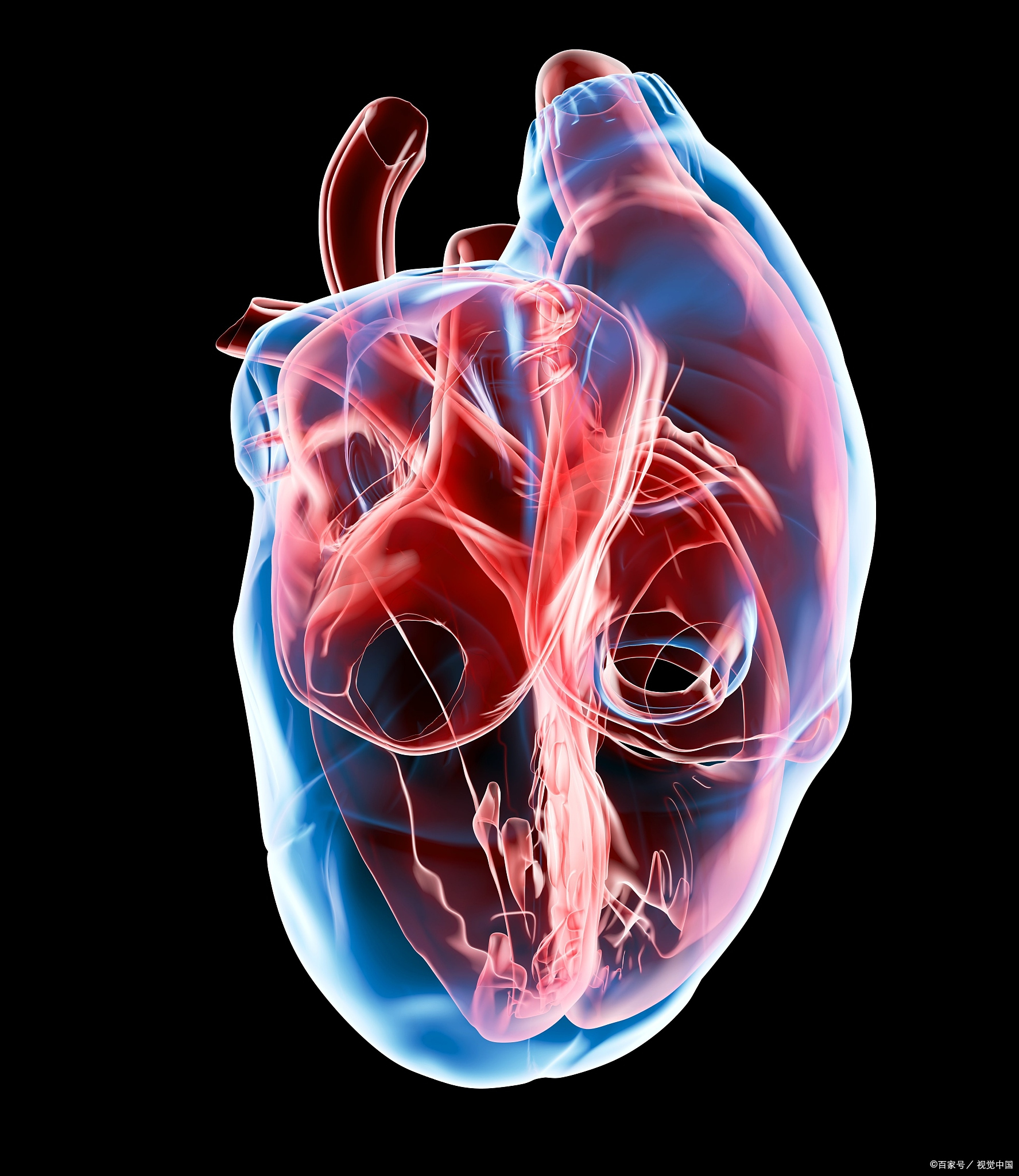 心衰,这个词听起来好像离我们很远,但实际上,它可能是许多人心中的