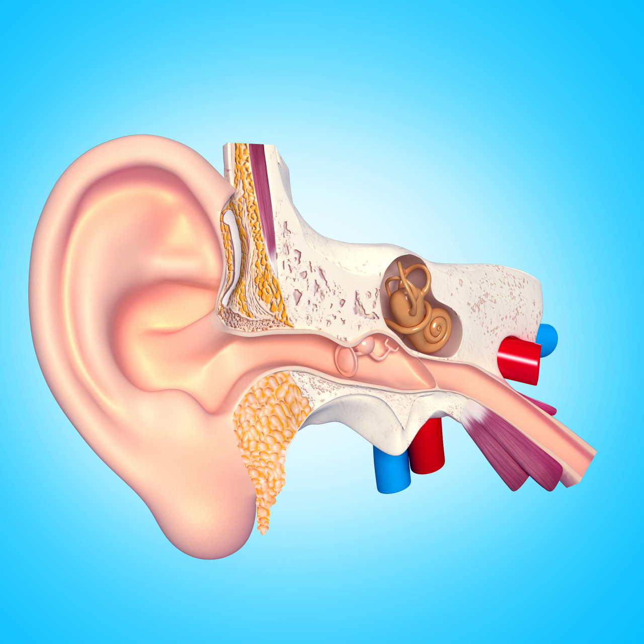 今天我们来聊聊一个常见的健康问题——耳膜鼓起来.