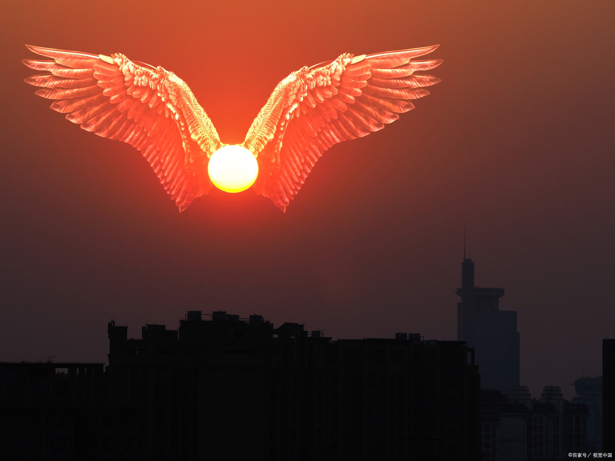 主办的第十八届全国中学发展高峰论坛在江西南昌融创文化城隆重举行