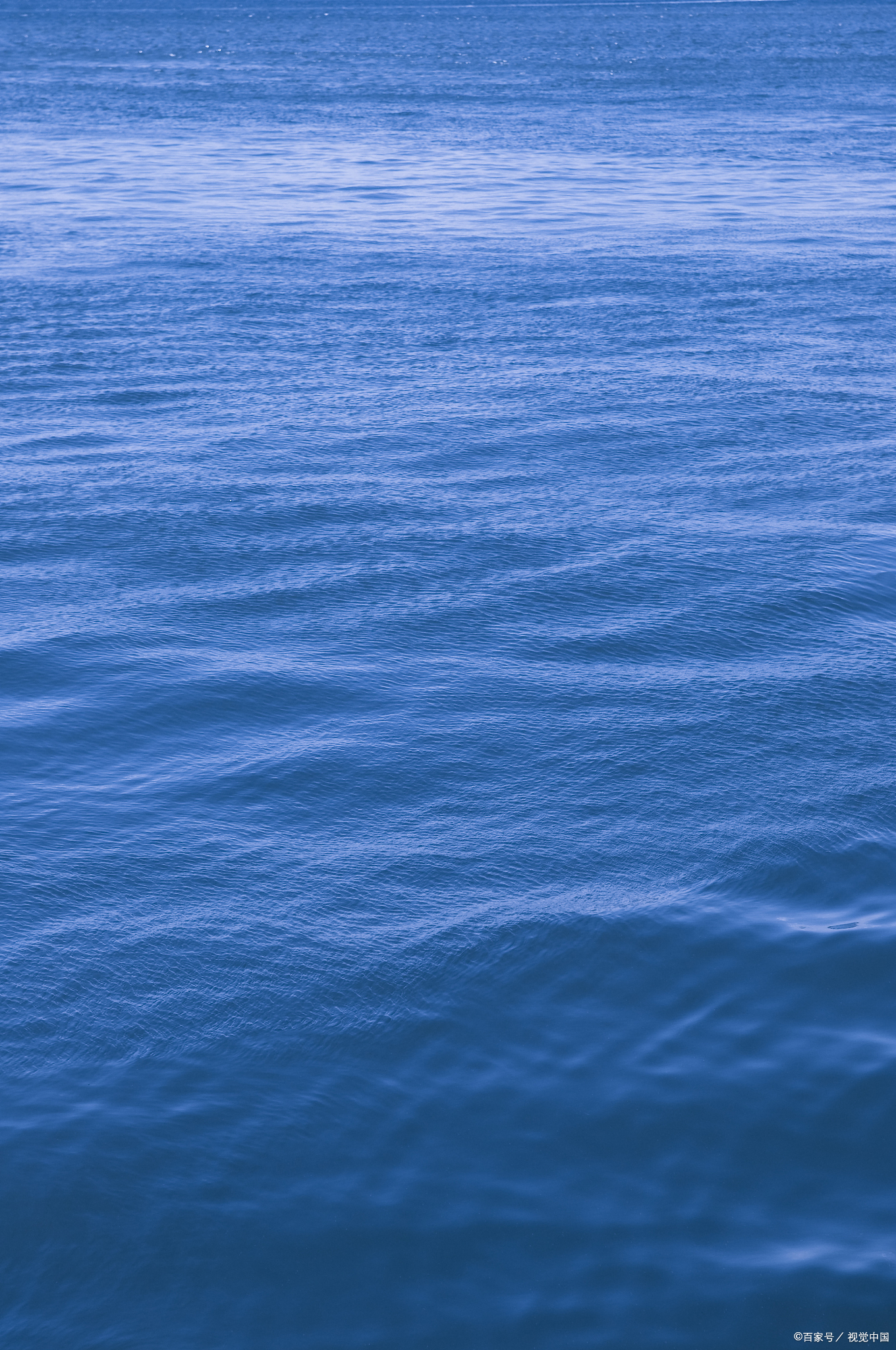 它并非单一的蓝色,而是一种融合了深邃,神秘与宁静的复合色调,其视觉