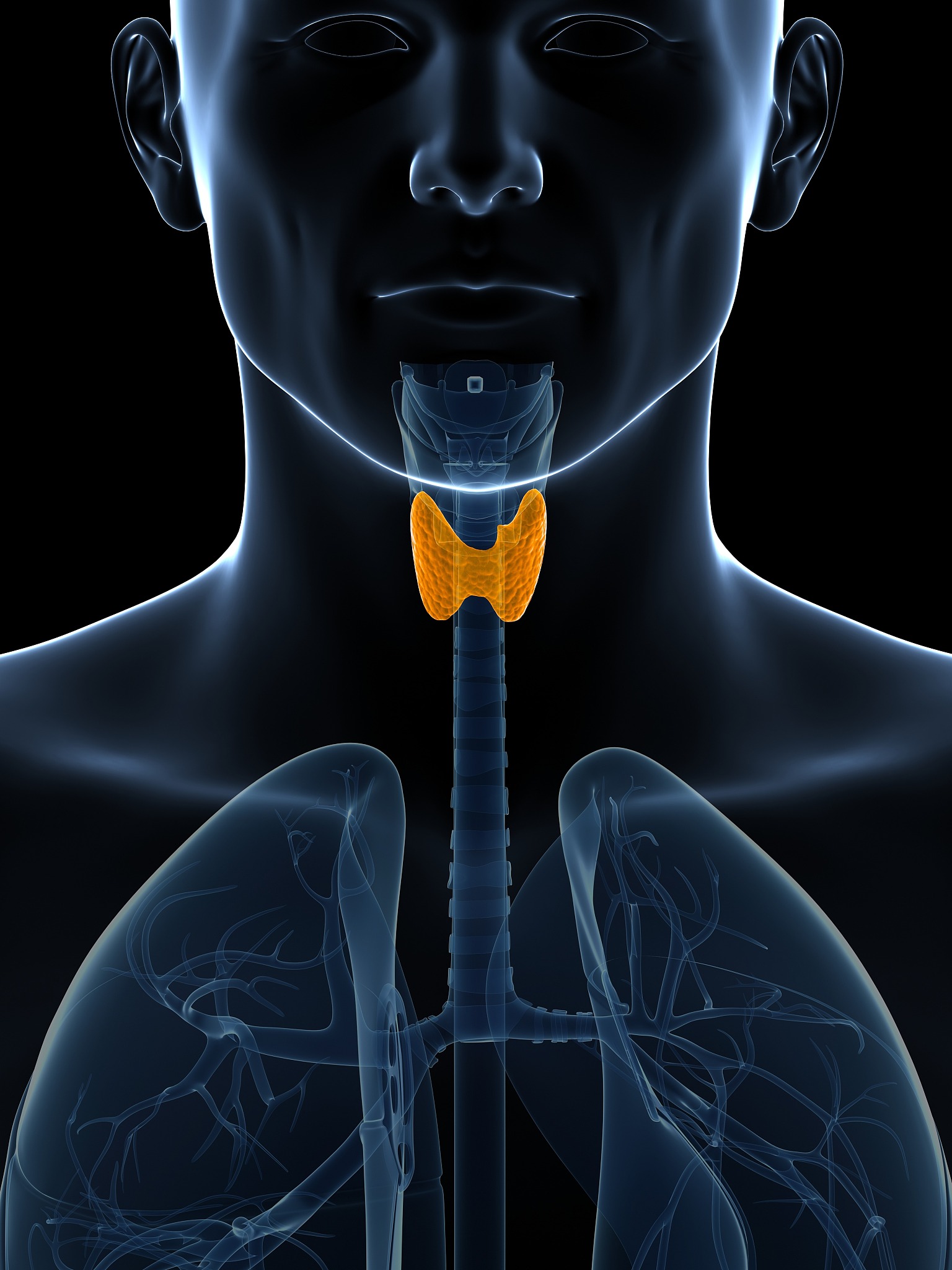 甲状腺问题引发疲劳和低能量