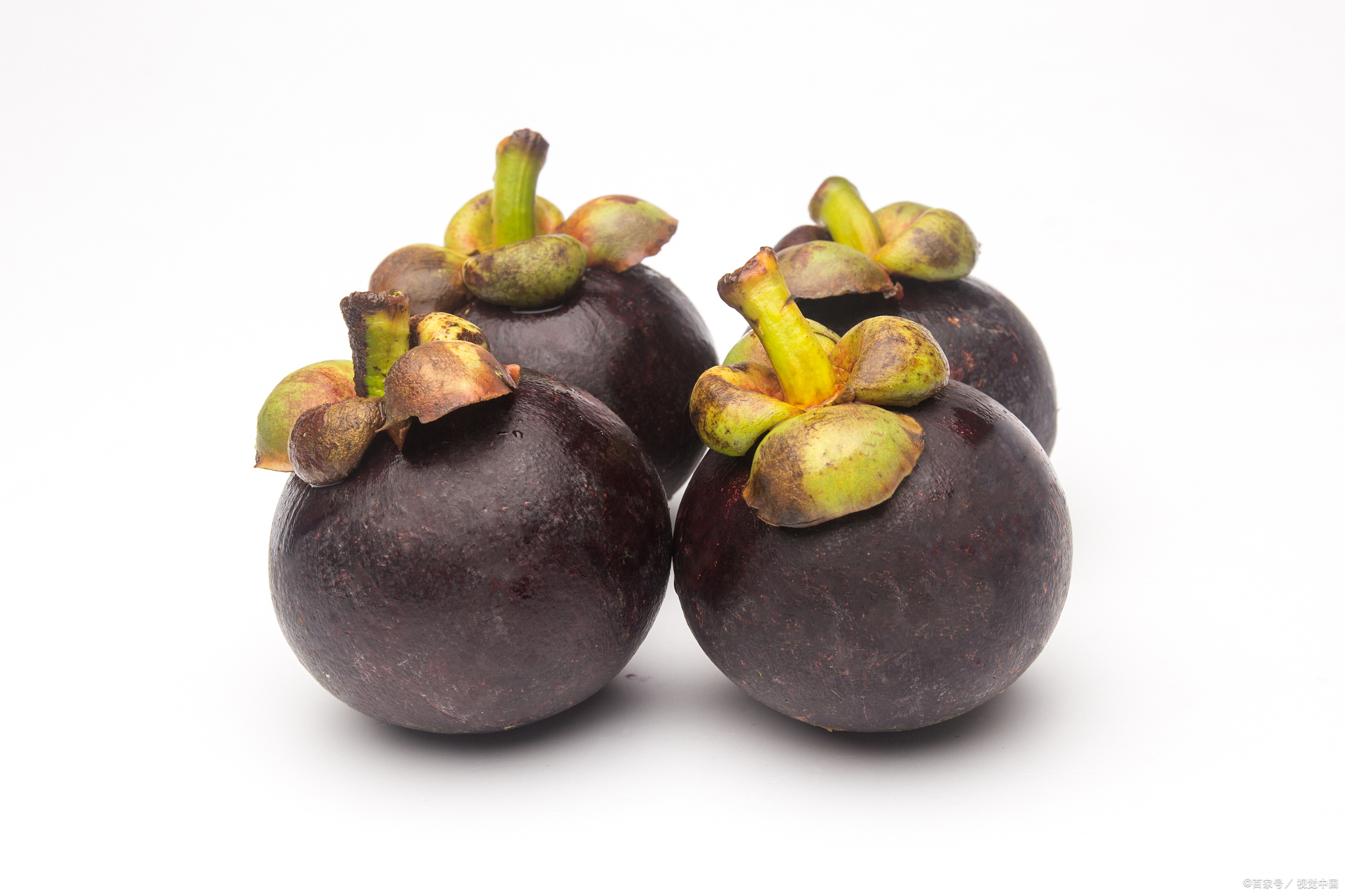 莽吉柿有什么功效?这几类人尽量不要碰