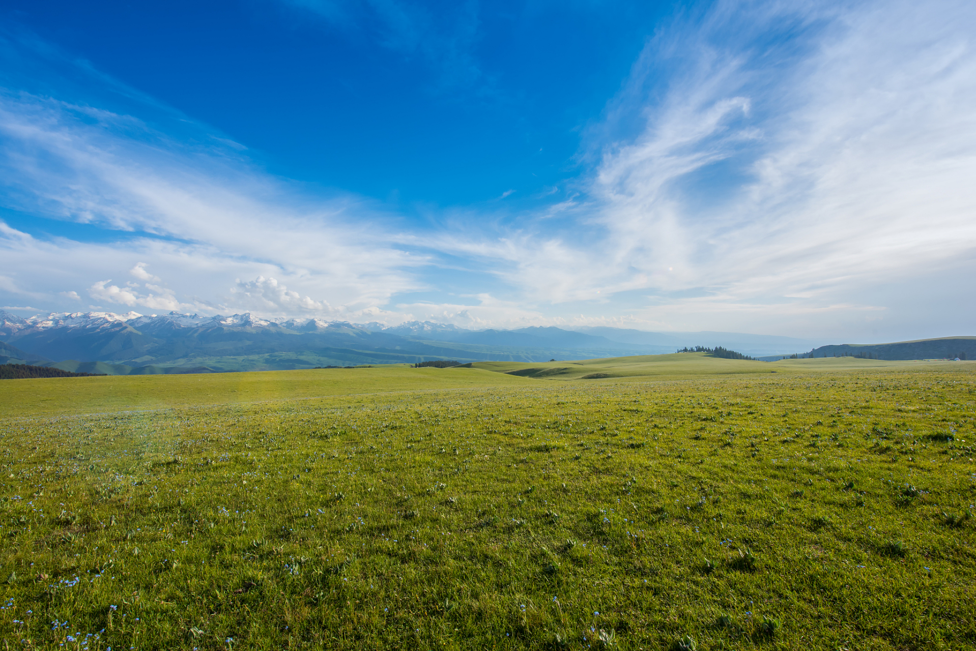 奇遇那拉提#新疆那拉提高寒草原是国内较为知名的旅游景区之一.