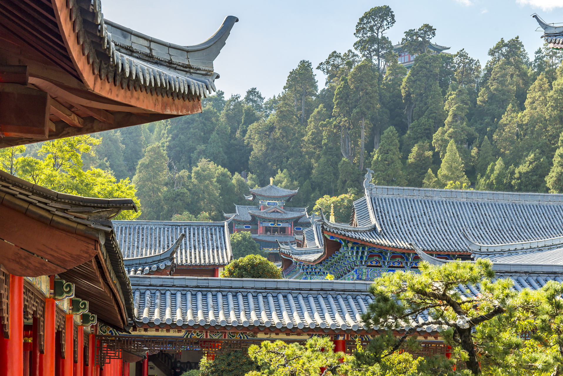 94989796  94 春暖花开,南宫寺的赏花之旅等你开启!