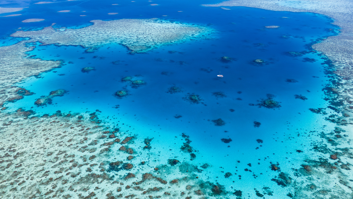 barrier reef)是位于澳大利亚东海岸的一个世界著名的珊瑚礁区,是地球