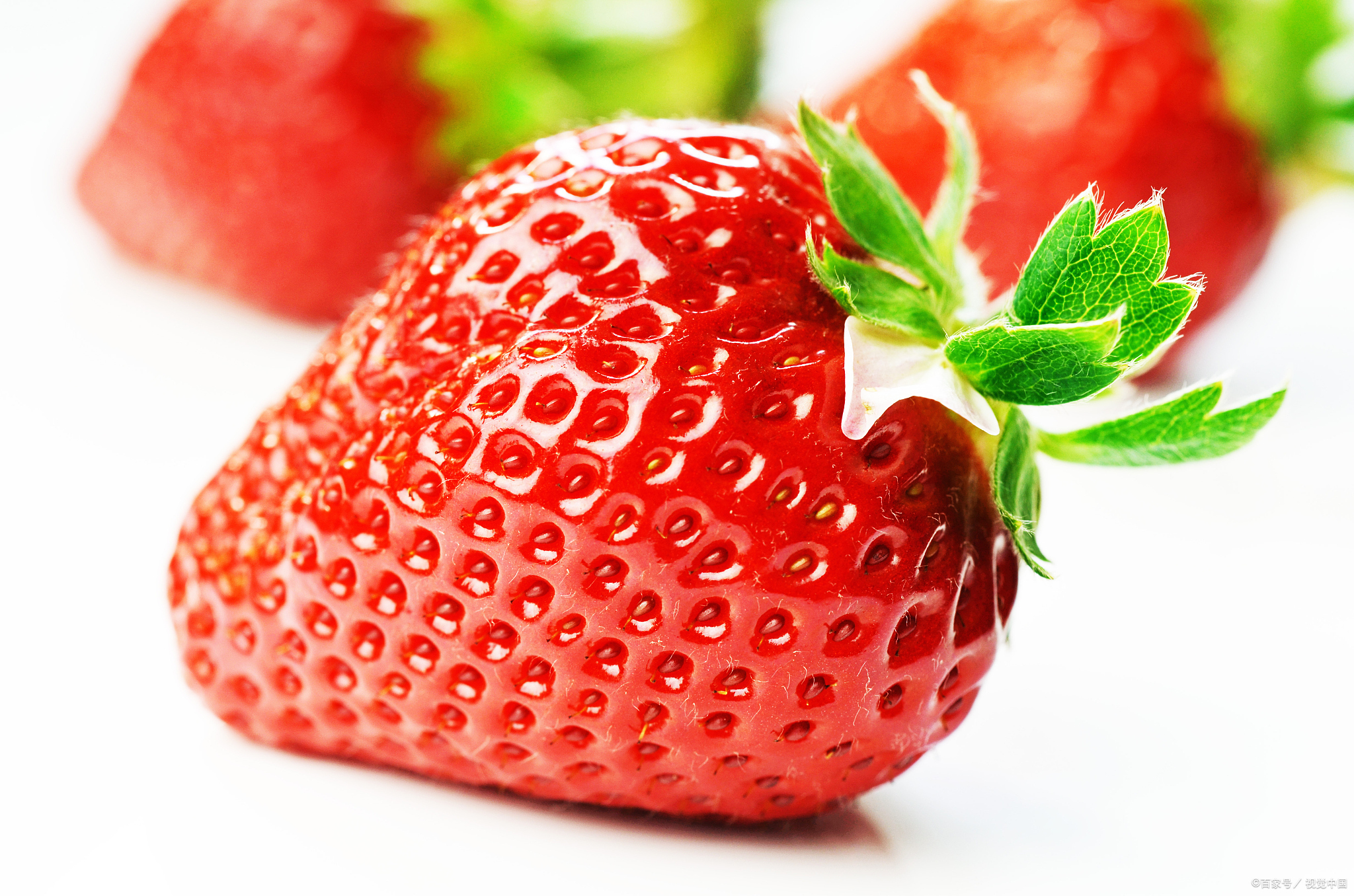 你吃过黑草莓么?原来草莓竟然有这么多种颜色和种类!