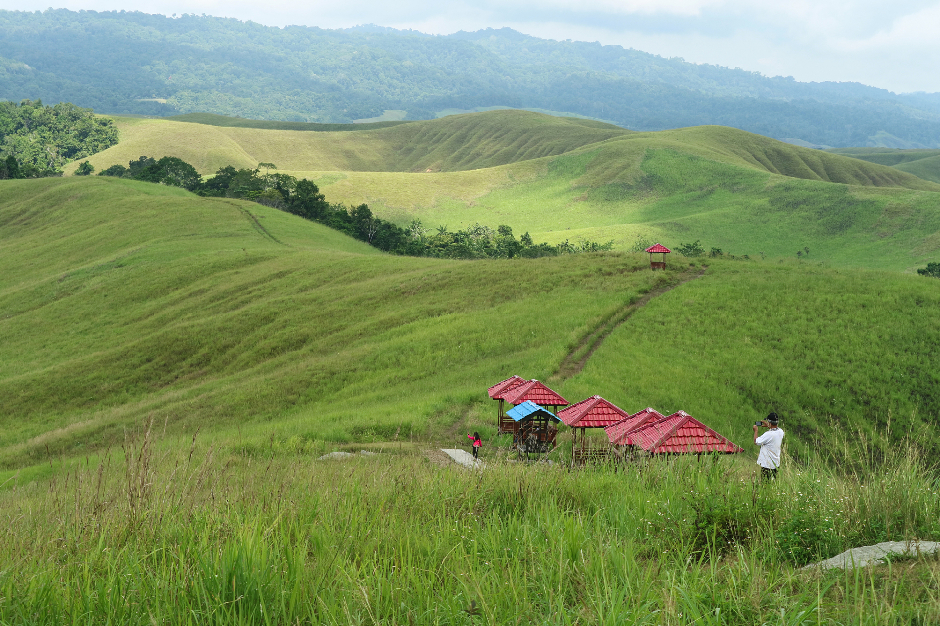 郴州仰天湖大草原是一片宛如天堂般的美丽自然景观.