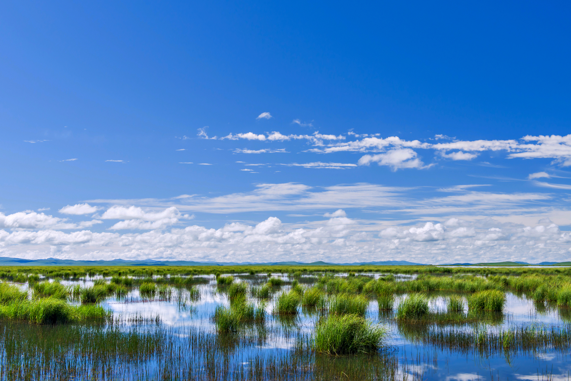 花湖位于若尔盖和甘肃郎木寺之间的213国道旁.